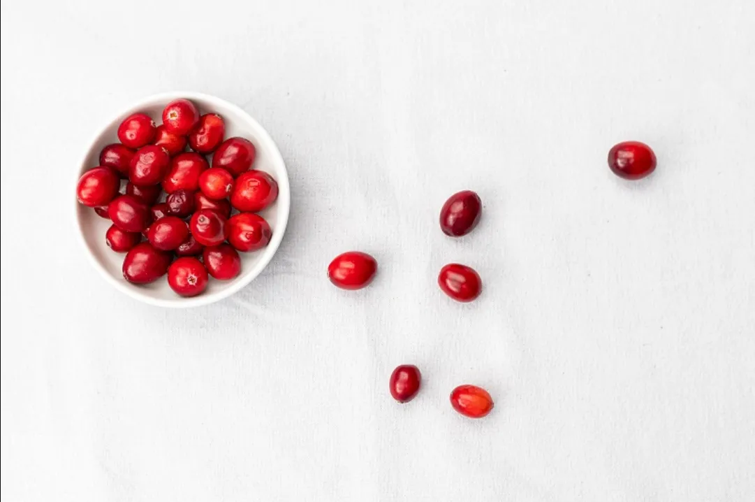 Les cranberries pendant la grossesse