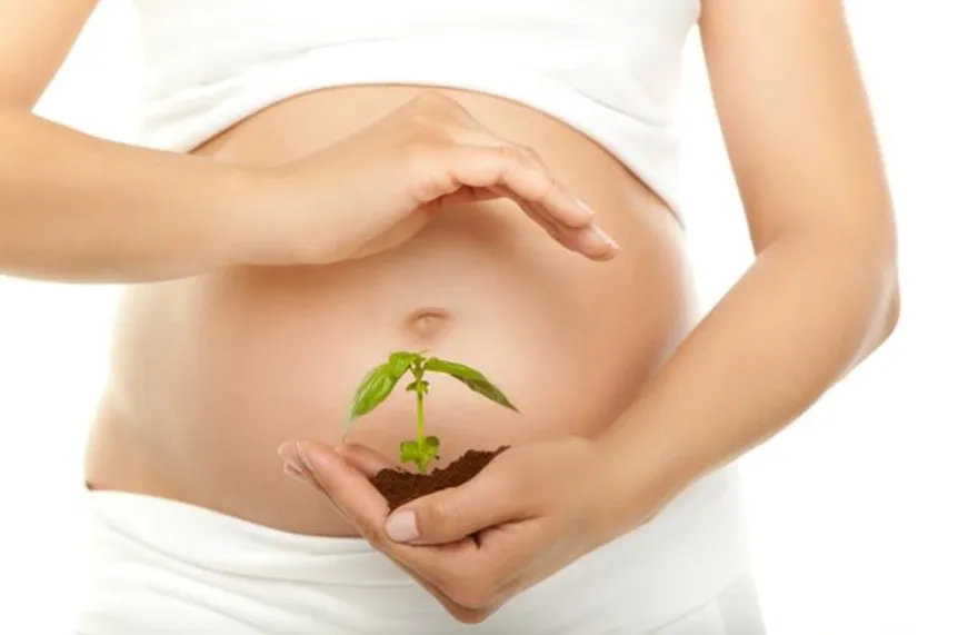 Flaxseed during pregnancy