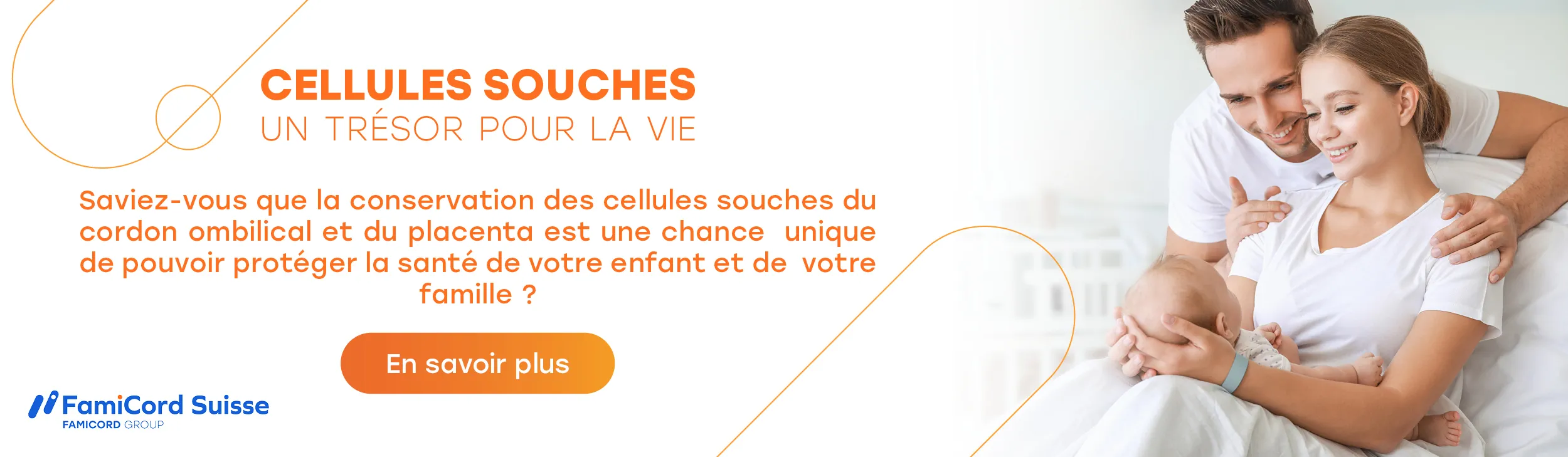 Calendrier de grossesse : 12e semaine de grossesse. Comment le bébé se développe-t-il?